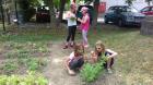 20180608_132104_resized
