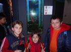 DSC02003
